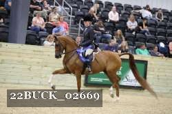 22BUCK_02669 proof