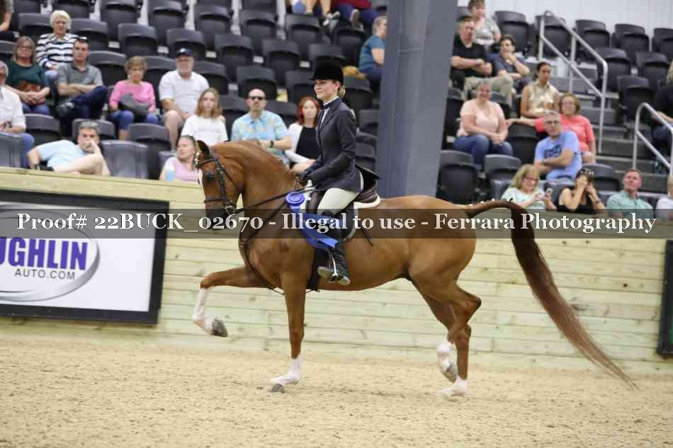 Proof 22BUCK_02670