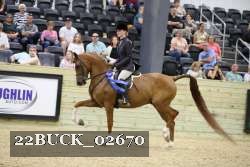 22BUCK_02670 proof