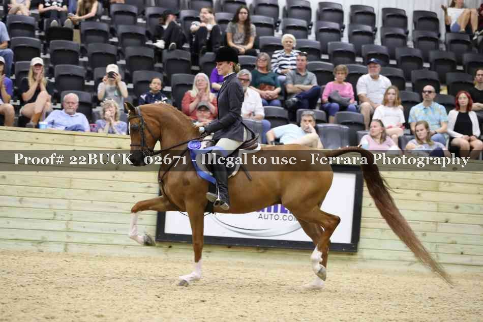 Proof 22BUCK_02671