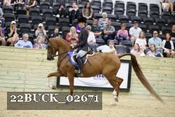 22BUCK_02671 proof