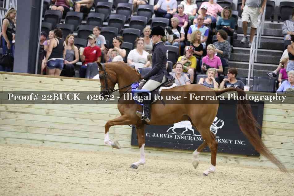 Proof 22BUCK_02672