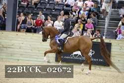22BUCK_02672 proof