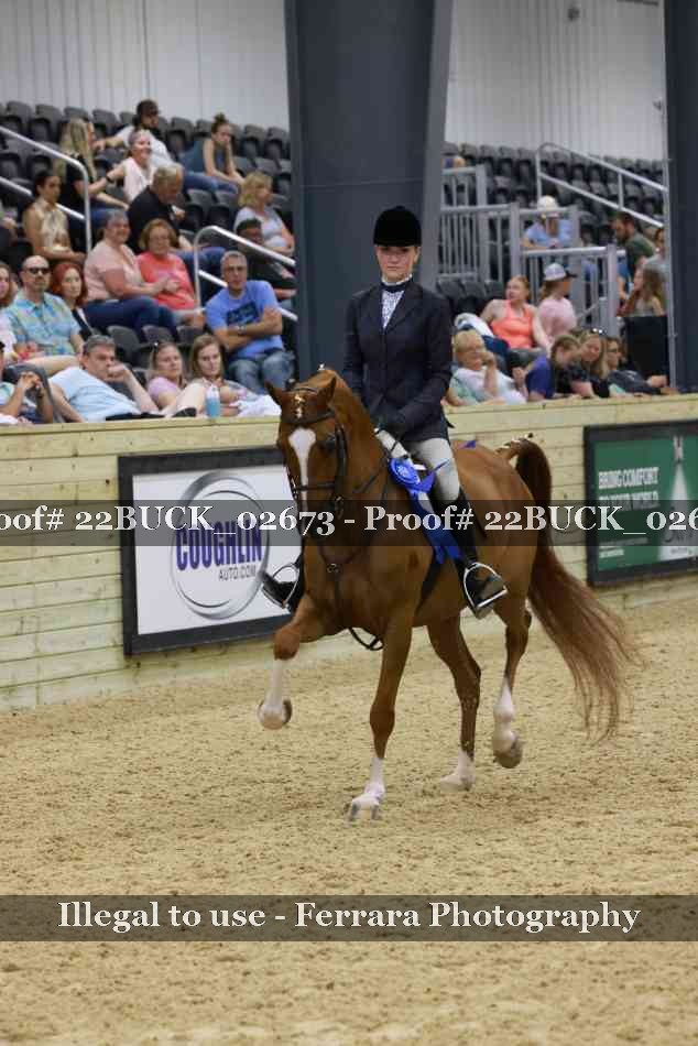 Proof 22BUCK_02673