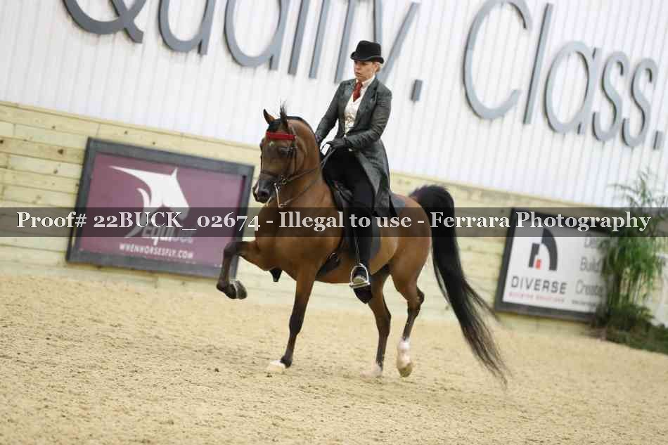 Proof 22BUCK_02674