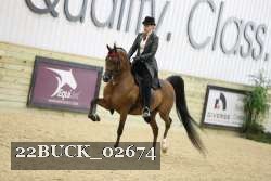 22BUCK_02674 proof