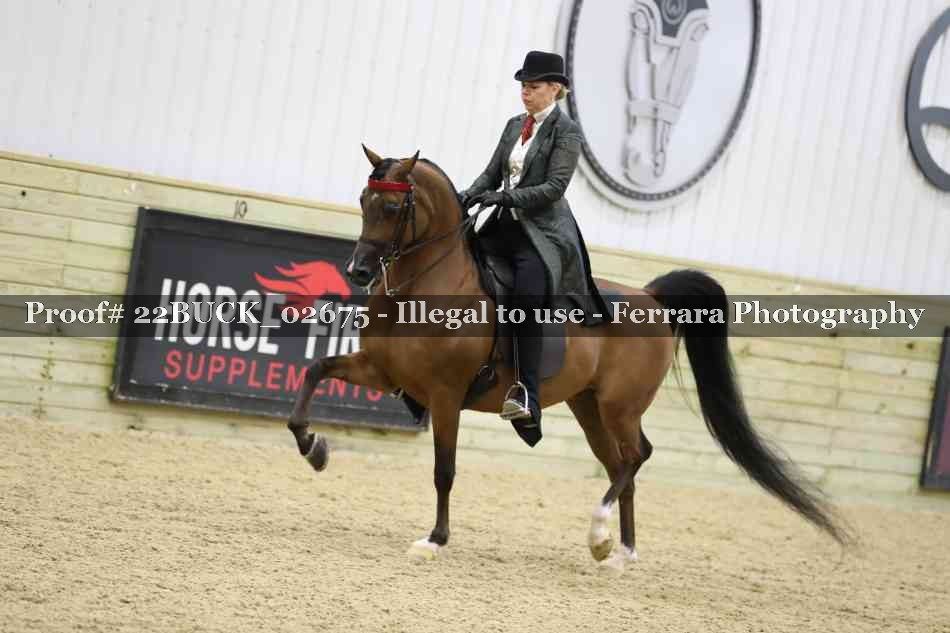 Proof 22BUCK_02675