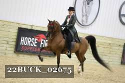 22BUCK_02675 proof