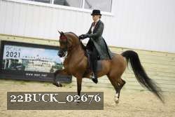 22BUCK_02676 proof