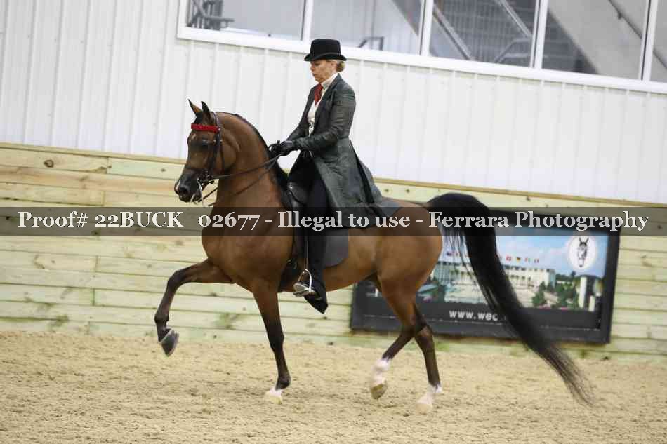 Proof 22BUCK_02677