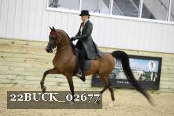 22BUCK_02677 proof