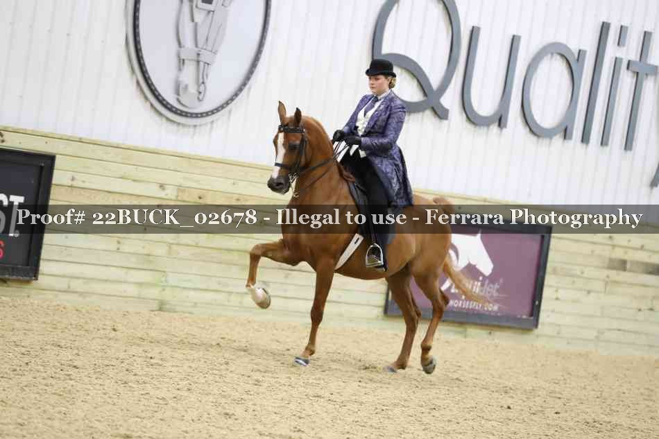 Proof 22BUCK_02678