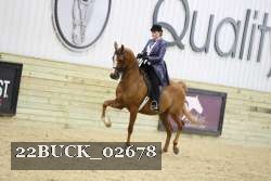 22BUCK_02678 proof