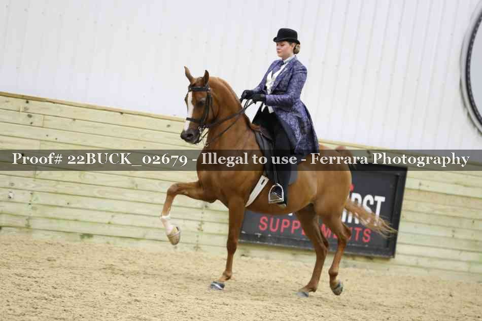 Proof 22BUCK_02679