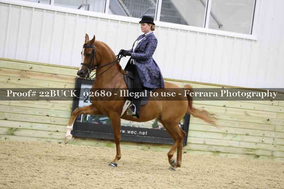 Proof 22BUCK_02680