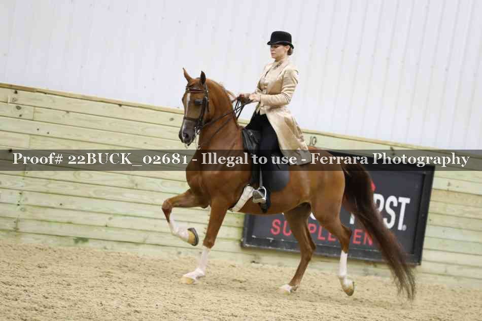 Proof 22BUCK_02681