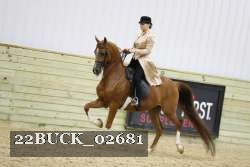 22BUCK_02681 proof