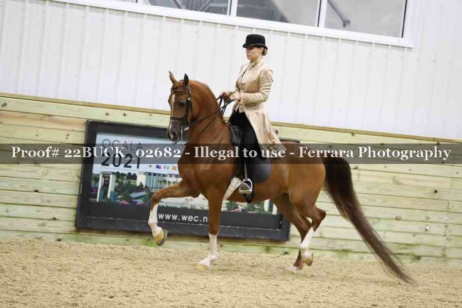 Proof 22BUCK_02682