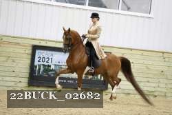 22BUCK_02682 proof