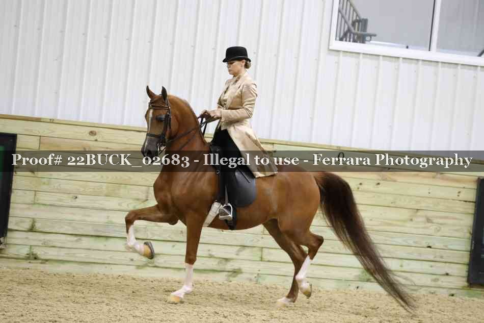 Proof 22BUCK_02683