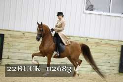 22BUCK_02683 proof