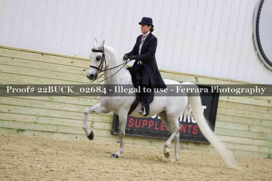 Proof 22BUCK_02684