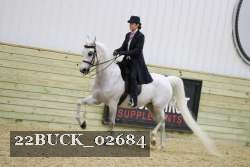 22BUCK_02684 proof