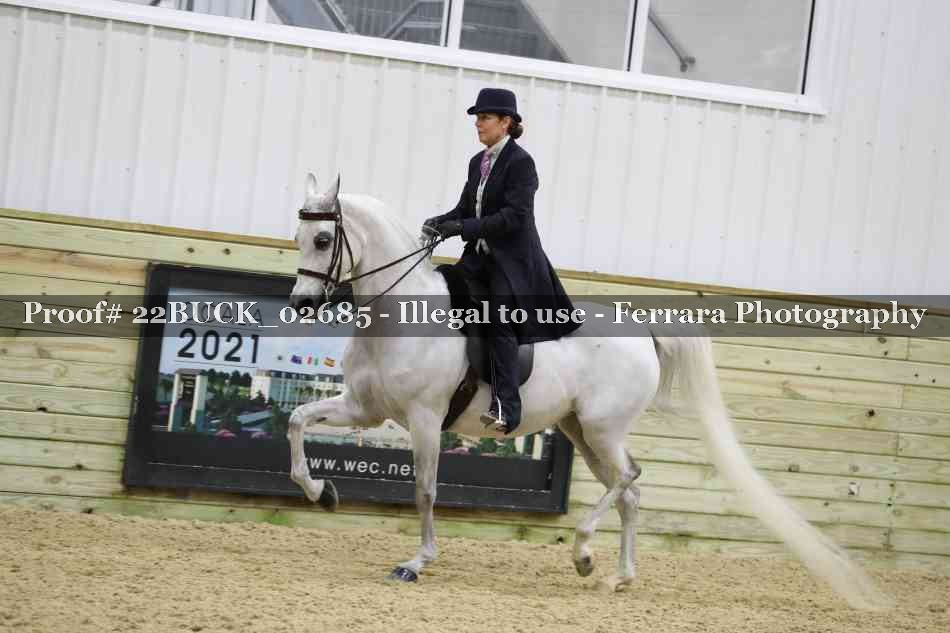 Proof 22BUCK_02685