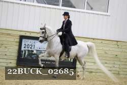22BUCK_02685 proof