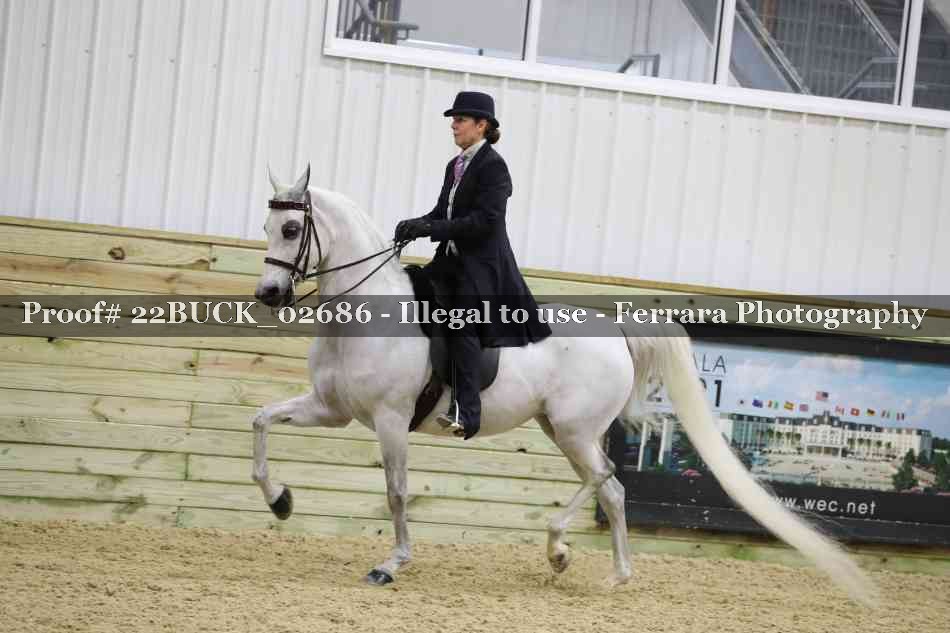 Proof 22BUCK_02686