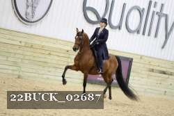 22BUCK_02687 proof