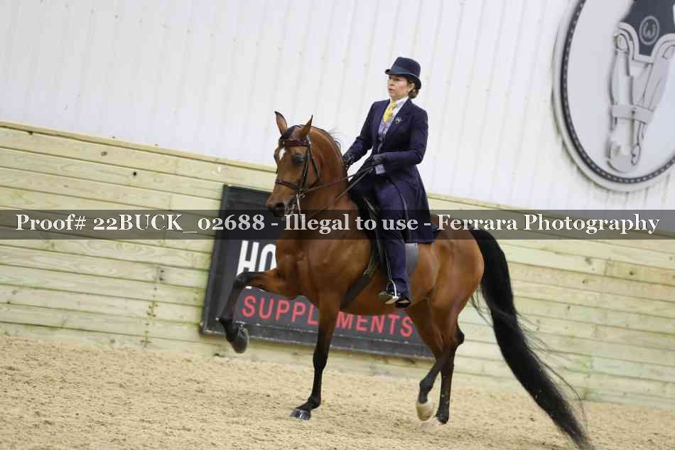Proof 22BUCK_02688