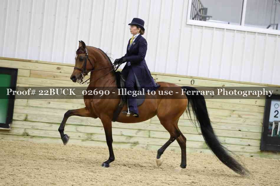 Proof 22BUCK_02690