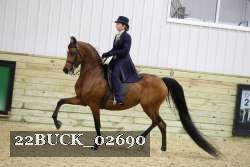 22BUCK_02690 proof