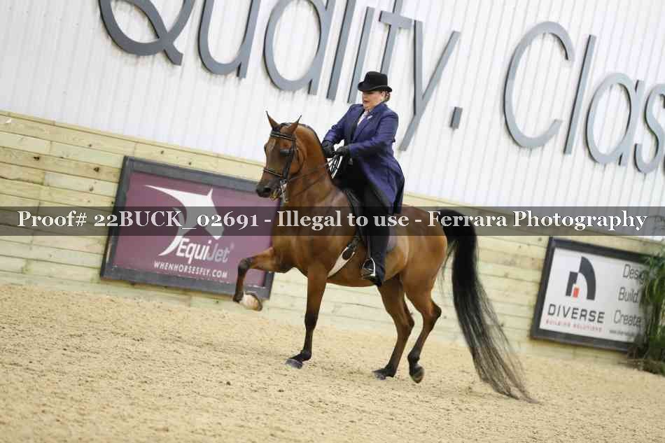 Proof 22BUCK_02691