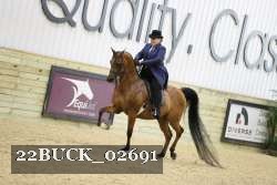 22BUCK_02691 proof