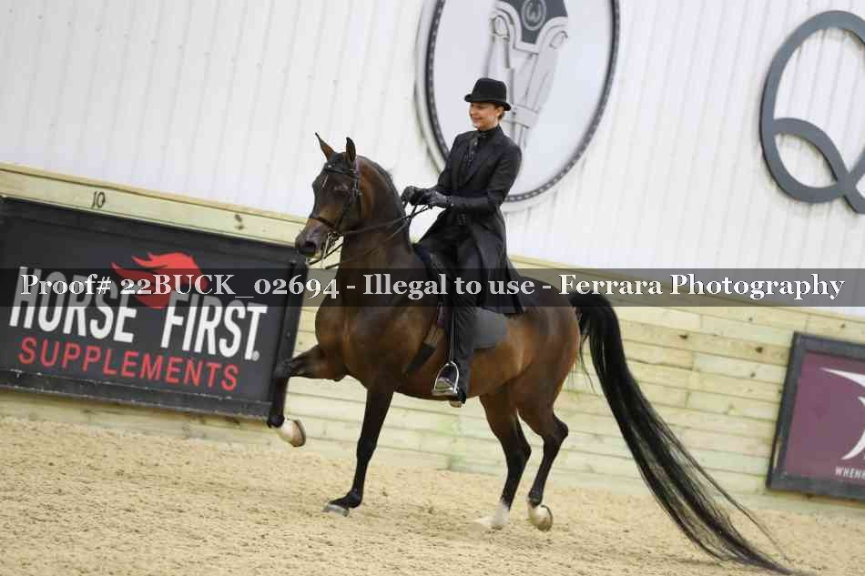 Proof 22BUCK_02694