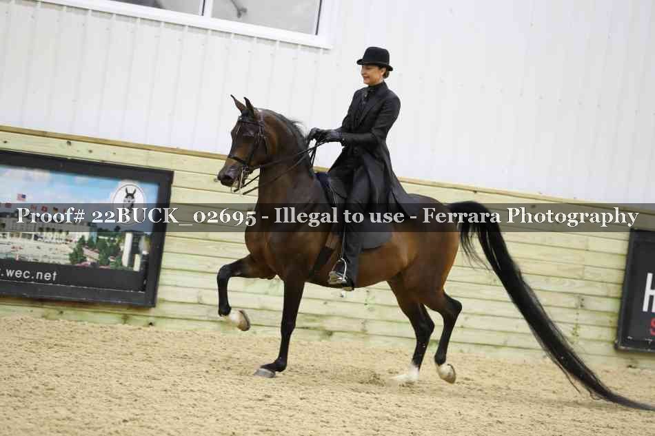 Proof 22BUCK_02695