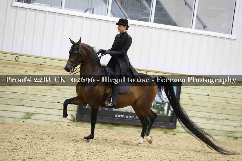 Proof 22BUCK_02696