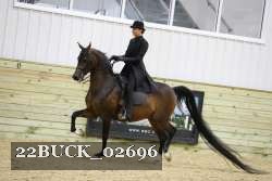 22BUCK_02696 proof