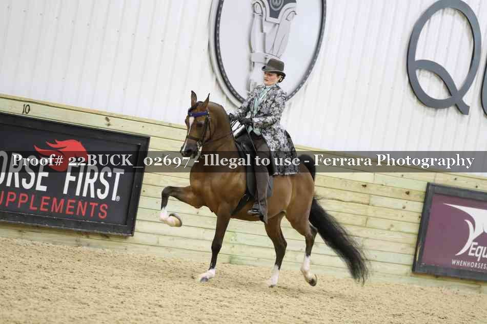 Proof 22BUCK_02697