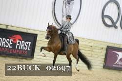 22BUCK_02697 proof
