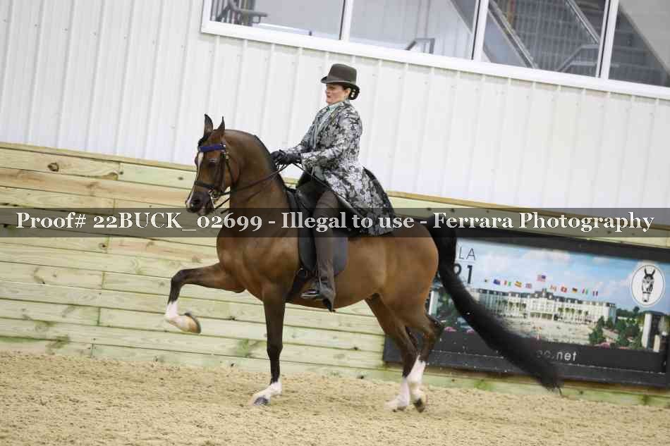 Proof 22BUCK_02699