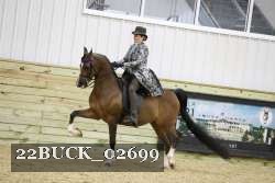 22BUCK_02699 proof