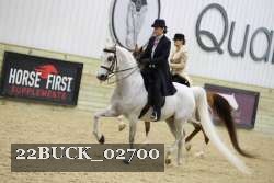 22BUCK_02700 proof