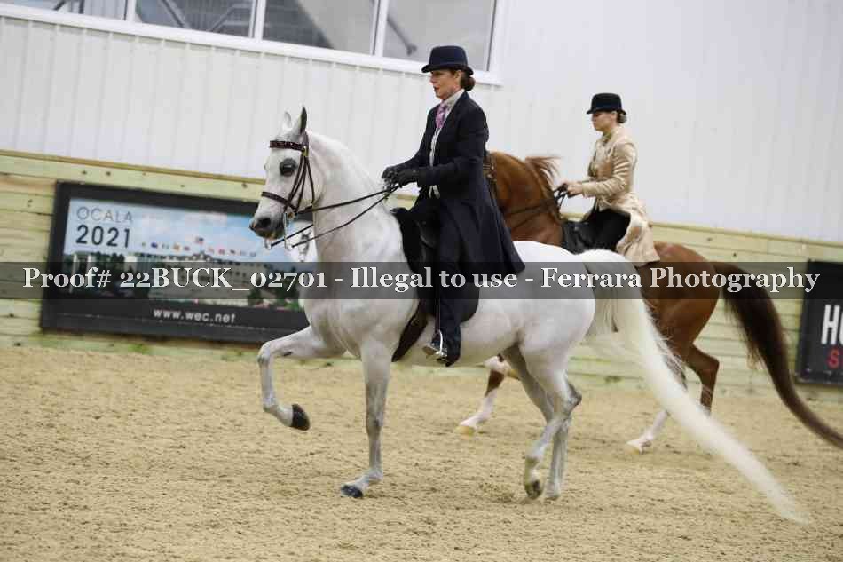Proof 22BUCK_02701