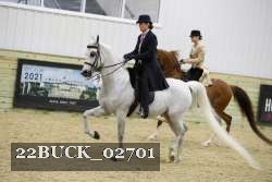 22BUCK_02701 proof
