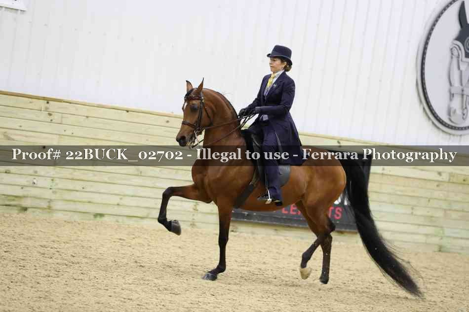 Proof 22BUCK_02702