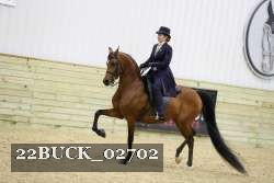 22BUCK_02702 proof