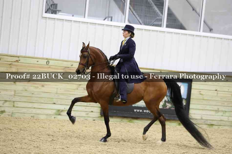 Proof 22BUCK_02703
